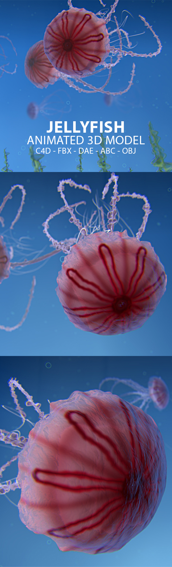 Jellyfish Animated 3D Model