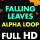 Falling Leaves - VideoHive Item for Sale
