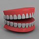 3D Teeth (Animated & Editable) - 3DOcean Item for Sale