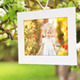Photo Gallery Blossoms and Bees - VideoHive Item for Sale