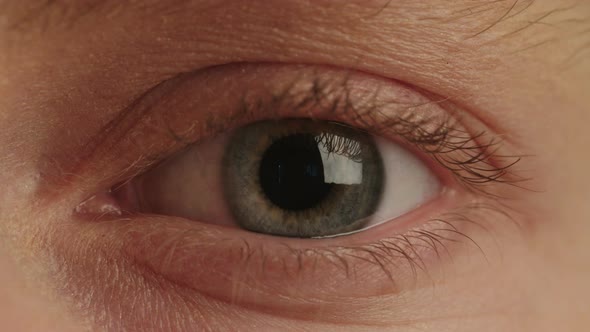 Macro shot of a woman's blue eyes