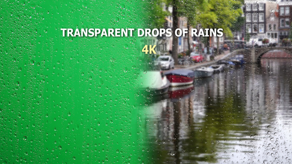Transparent Drops Of Rains