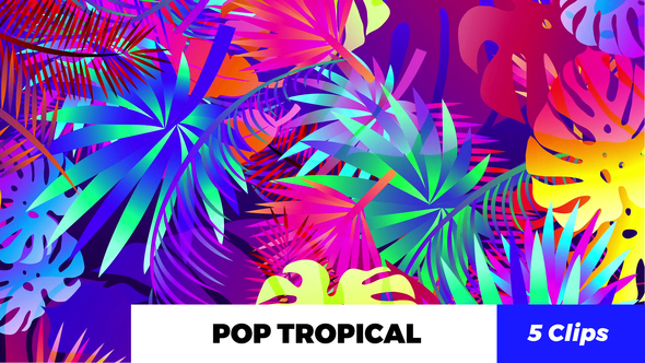 Pop Tropical Loops alt
