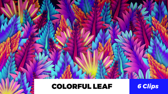 Colorful Leaf Kaleido