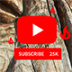 YouTube Subscribe Reminder - VideoHive Item for Sale