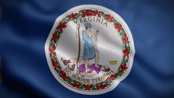 Virginia State Flag Front