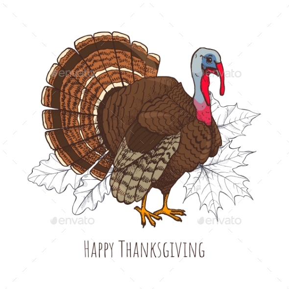 Happy Thanksgiving Day Turkey