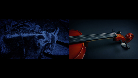 Violin Revealed Under Velvet. Instrument Reveal No.2 alt