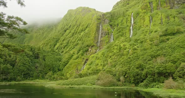 Beautiful Natural Landscape of the Cliffs Covered with Dense Green Moss