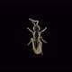 Wasp is a parasite of the family Superfamily Chalcidoidea under a microscope - VideoHive Item for Sale