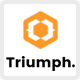 Triumph - Business Consulting and Professional Services Drupal Theme - ThemeForest Item for Sale