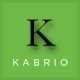 Kabrio - Organic & Restaurant Store HTML Template - ThemeForest Item for Sale