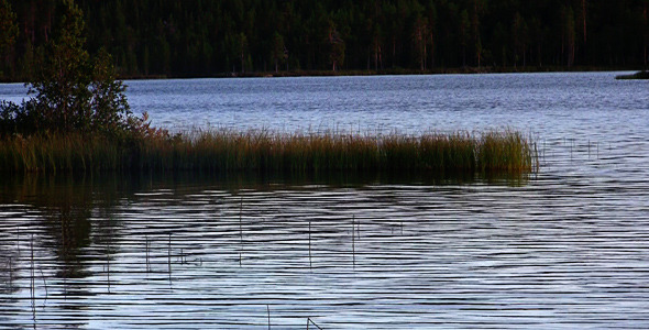 Ripples On A Lake