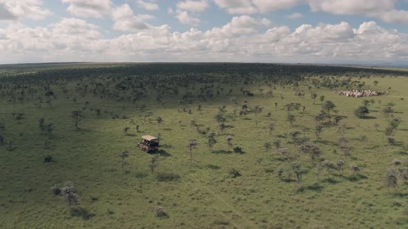 4 wheel drive vehicle on wildlife safari driving through savanna in Kenya. Aerial drone view