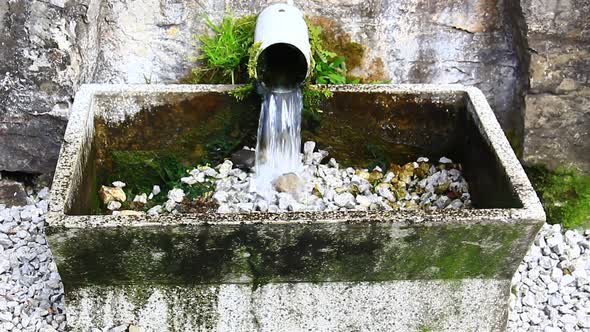 Clear Water from Hose