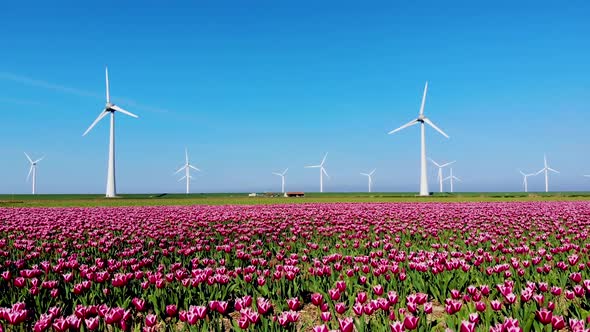 Windmill Park in the Ocean Drone Aerial View of Windmill Turbines Generating Green Energy Electric