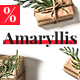 Amaryllis  – Responsive HTML Email + StampReady, MailChimp & CampaignMonitor compatible files - ThemeForest Item for Sale