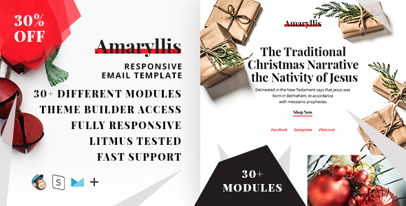 Amaryllis  – Responsive HTML Email + StampReady, MailChimp & CampaignMonitor compatible files