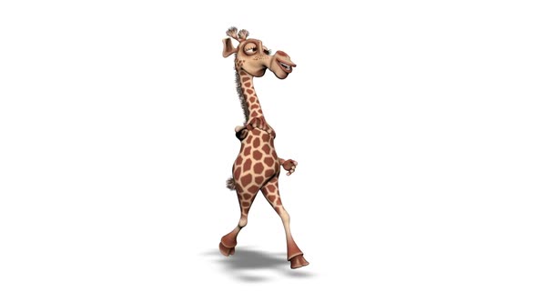 Cartoon 3D Giraffe Walk  2 Loops on White