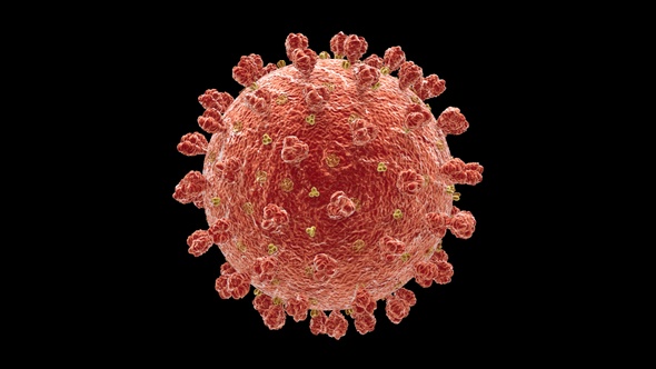 Coronavirus Covid 19 Cell V2