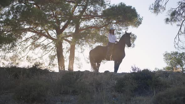 Side View of Freedomloving Stallion with Equestrian on Back Beating Hoof Standing on Hill at Sunset