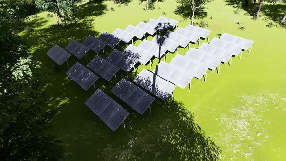 Shade From Trees on Solar Panels