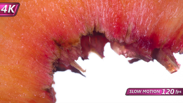 Slice Of Peach Slowly Crushed