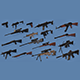WEAPONS PACK model and textures - 3DOcean Item for Sale