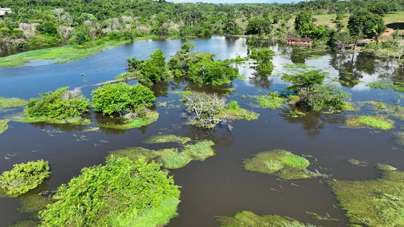 Stunning landscape of Amazon Forest at Amazonas State Brazil.