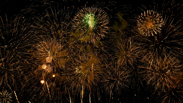 Firework Celebrate alt
