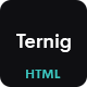 Ternig - Creative & Agency HTML Portfolio Template - ThemeForest Item for Sale