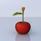 Cherry 3D Model - 3DOcean Item for Sale