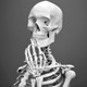 Bone Crunch