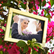 Wedding Album - VideoHive Item for Sale