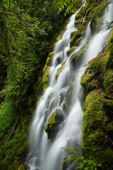 Proxy falls, Oregon