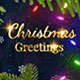 Christmas Greetings - VideoHive Item for Sale