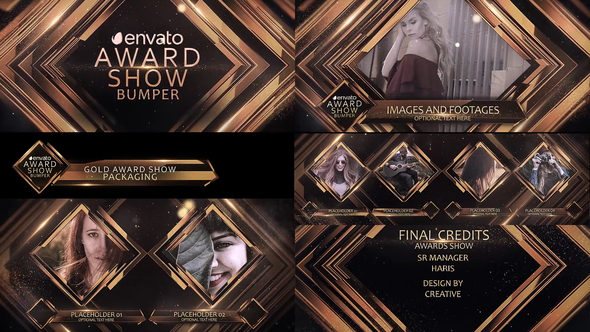 Awards Show Packaging