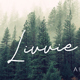 Livvie Signature Font - GraphicRiver Item for Sale