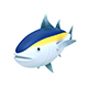 Tuna - 3DOcean Item for Sale