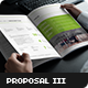 Business Proposal Template III - GraphicRiver Item for Sale