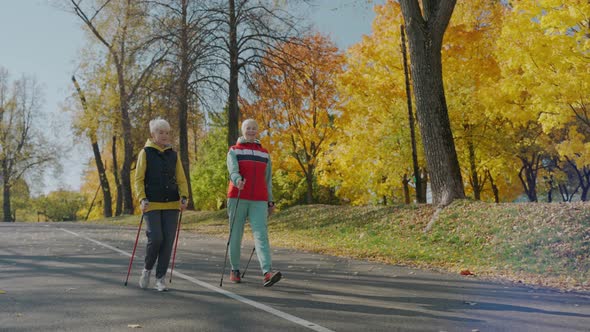 Two Aged Women Doing Nordic Walking in Fall City Park on Sunny Day Front View