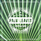 11 Palm Leaves Textures - GraphicRiver Item for Sale