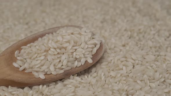 White Rice Organic Agriculture