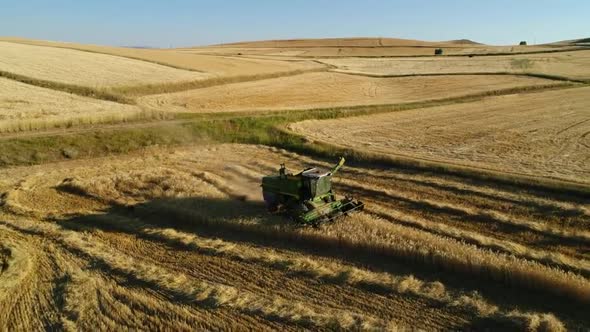 Aerial View Wheat Harvesting