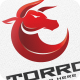 Bull Torro - Logo Template - GraphicRiver Item for Sale