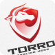 Torro - Logo Template - GraphicRiver Item for Sale
