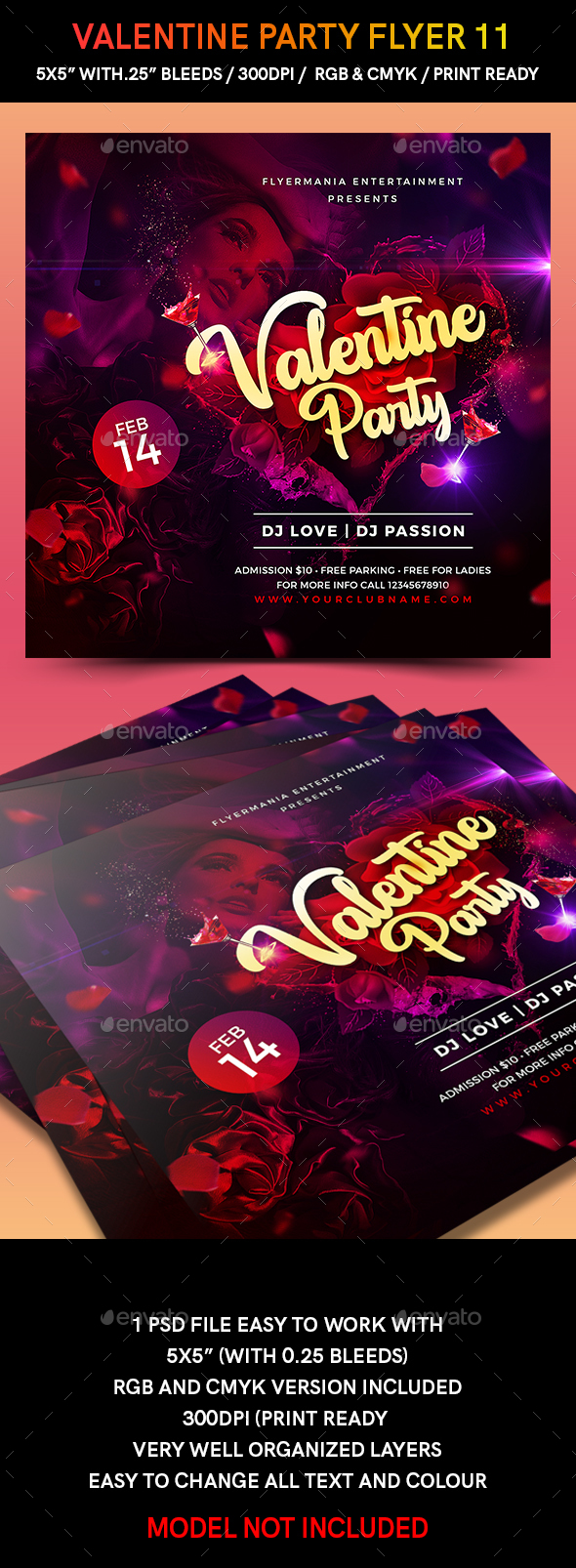 Valentine Party Flyer 11