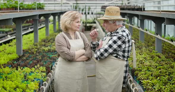 Joyful Caucasian Mature Man and Woman Talking and Laughing in Glasshouse. Professional Agronomists