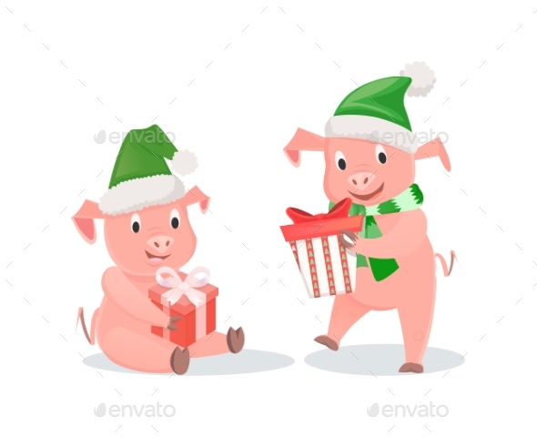 New Year Pigs with Gift Boxes in Hat and Scarf