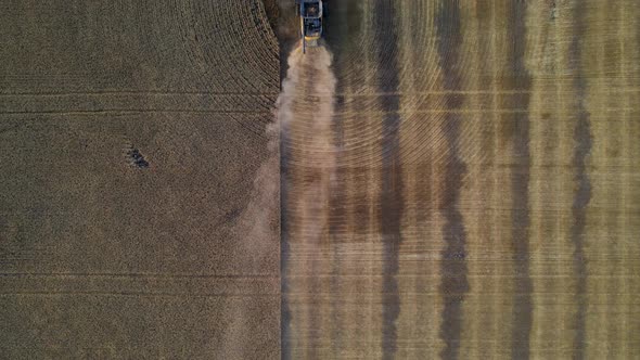 Aerial vertical drone view following a modern combine harvester reaping wheat seeds in Alberta, Cana